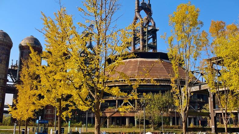 最短的秋天,才是最贵的奢侈品